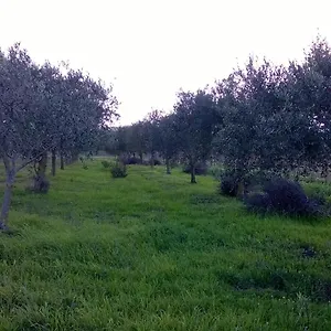  Casa vacanze Sa Mitza
